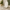 TOILET SEATS – D & O SHAPE